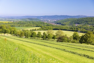 View from Cottaer Spitzberg to Pirna with Gottleubatal and the Gottleubatal Bridge under