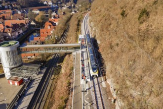 Train goes under bridge surrounded by green vegetation and urban structures, test run on the new