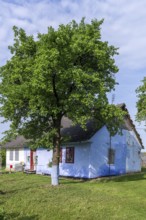 Old German settler house with garden in the former Dornfeld from 1789-1939, today Ternopillya,