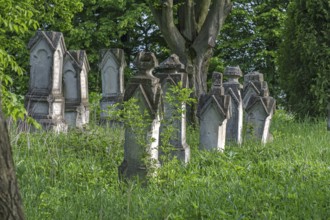 German cemetery of the former German community of Dornfeld, 1738-1918, today Ternopillya, Ukraine