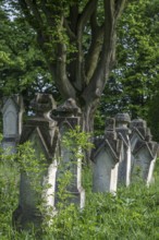German cemetery of the former German community of Dornfeld, 1738-1918, today Ternopillya, Ukraine