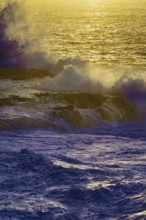 Dusk at sea with big waves and a golden horizon, purple colored ocean, Playa Blanca/Yaiza Lanzarote