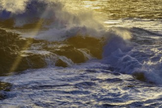 Waves break against rocks in golden sunlight, the spray is illuminated, Playa Blanca/Yaiza