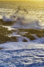 High waves hit hard against rocks in the light of a brilliant sunset, Playa Blanca/Yaiza Lanzarote