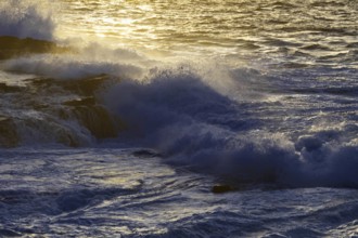Dramatic waves crashing against rocks under a golden evening sun, dramatic atmosphere, Playa