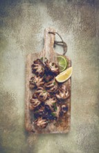 Grilled baby octopus, with green onions, with lemon wedges, on a wooden chopping board, homemade,
