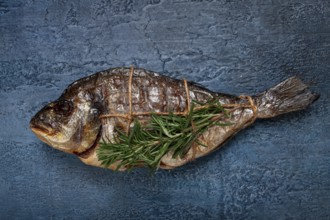 Dorado fish, hot smoked, with a sprig of rosemary, tied with a rope, on a blue background, top