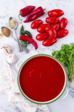 Georgian Satsebeli sauce, made from tomatoes and sweet peppers, with spices, homemade, no people