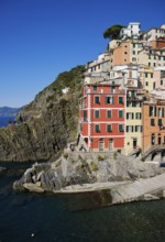 Colourful houses on rocky coast under blue sky, fishing village of Riomaggiore, Cinque Terre, La
