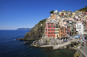 Colourful houses under blue sky, view of the fishing village of Riomaggiore, port, Cinque Terre, La