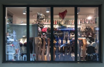 Shop window with stocking clothes, Krakow, Poland