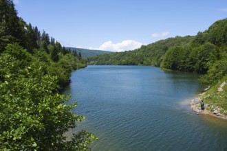 Tranquil river surrounded by thick green forests under clear blue sky, Shaori Reservoir, Racha