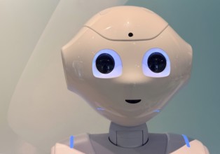 Head of the humanoid robot Pepper, Germany