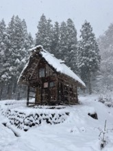 Lonely snowy wooden hut on the edge of a forest on a hill in winter, blowing snow, winter,