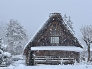 Snowy traditional house with gable roof surrounded by winter trees, blowing snow, winter landscape,