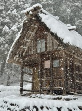 Small wooden hut covered with snow surrounded by a thick forest, blowing snow, winter scenery,