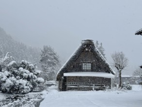 Snowy hut with gable roof surrounded by trees and snow, blowing snow, winter, Shirakawa, Gifu,