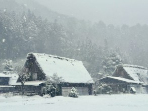Snowy huts in a quiet winter landscape with forest in the background, blowing snow, winter,