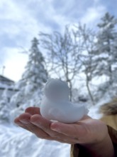 A hand presents a duck shaped snow sculpture in front of snowy trees and sky, winter, snow, Chubu