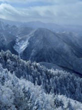 A snowy mountain panorama with wooded slopes under a cloudy sky, winter, snow, Chubu Sangaku