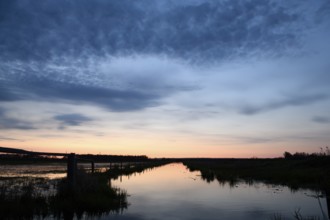A peaceful sunset is reflected in the quiet edge channel in Ochsenmoor under a blue sky, Dümmer