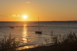 Sunset with boat on the lagoon near Gager on Rügen, Rügen, Gager, Mecklenburg-Western Pomerania,