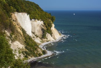 View of chalk cliffs in Jasmund National Park on Rügen, sailboat, Sassnitz, Rügen,