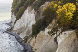 View of chalk cliffs in Jasmund National Park on Rügen, Wissower Klinken, Sassnitz, Rügen,