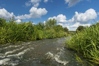 Fish ladder in the Hunte near Goldenstedt, Oldenburger Münsterland, Goldenstedt, Lower Saxony,