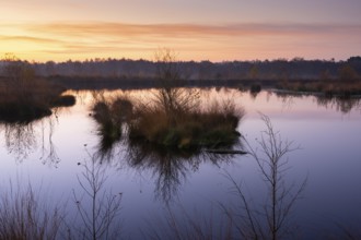 Daybreak in the Molberger Dose, Hochmoor, Molbergen, Lower Saxony, Germany