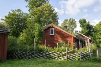 Birthplace of botanist and founder of the binary nomenclature Carl von Linne with white hair and
