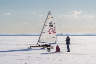 Family with dog watching sailboat on frozen Dümmer See, Lembruch, Diepholz district, Lower Saxony,