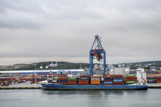 Container ship in port surrounded by several cranes Container bridges, Gothenburg, Västra Götalands