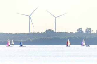 Several sailboats pirate regatta on Dümmer See with large wind turbines in the background, quiet