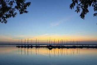 Boats on quiet Dümmer See at sunrise, surrounded by still trees, Lembruch, Dümmer See, Lower