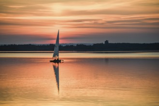 Single laser dinghy sailboat on quiet Dümmer See at vivid sunset, Lembruch, Dümmer See, Lower