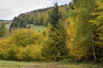 Autumn landscape in the Harz Mountains, Goslar, Lower Saxony, Germany