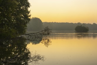 Daybreak at Ahlhorn Fish Ponds, Ahlhorn Fish Ponds, Ahlhorn, Lower Saxony, Germany