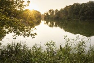 Sunrise at the Ahlhorn fishing pond in late summer, Ahlhorn, Lower Saxony, Germany