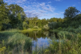 Ahlhorn fishing pond in late summer, Ahlhorn, Lower Saxony, Germany