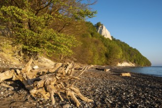 View of chalk cliffs in Jasmund National Park on Rügen, Sassnitz, Rügen, Mecklenburg-Western