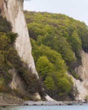 View of chalk cliffs in Jasmund National Park on Rügen, Sassnitz, Rügen, Mecklenburg-Western