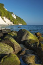 View of chalk cliffs in Jasmund National Park on Rügen, Königsstuhl, Sassnitz, Rügen,