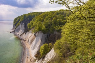 Ernst-Moritz-Arndt view on the chalk coast on Rügen, Rügen, Sassnitz, Mecklenburg-Western