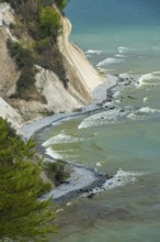 View of chalk cliffs in Jasmund National Park on Rügen, Sassnitz, Rügen, Mecklenburg-Western