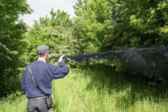 Person with Japanese network network in the countryside, surrounded by thick vegetation and trees,