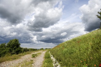 A trail through a vast landscape under dramatically cloudy sky on an old garbage dump, Münsterland,