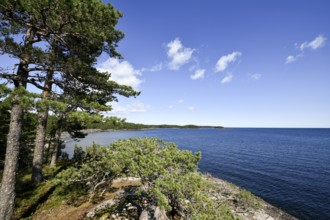 Clear sky over the coast with granite archipelago with green forest and blue water at Lake Vänern,