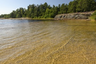 Clear water on sandy shore Beach surrounded by forest landscape under sunny sky, at Lake Vänern,