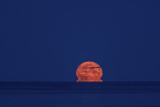 The orange summer moon rises blood-red in darkness over Lake Vänern, blood moon, Värmlandsnäs